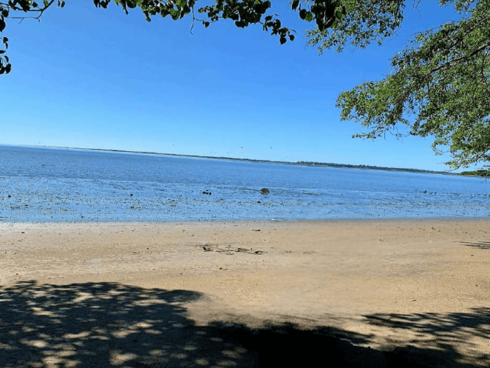 Propiedad de 5 manzanas en primera fila Isla Madresal  - foto 7