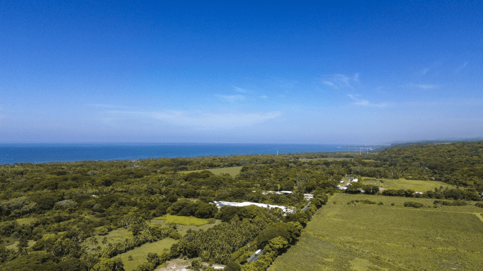 Terreno en venta para desarrollo en La Libertad - foto 3