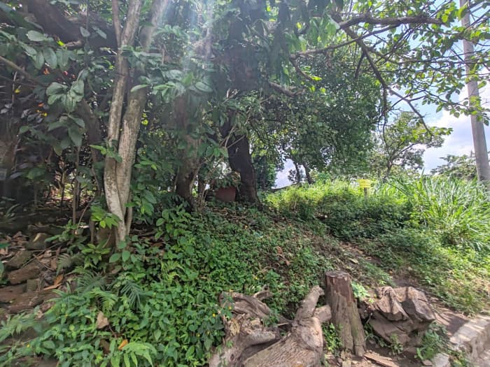 Terreno plano en venta en Lourdes Colón - foto 4