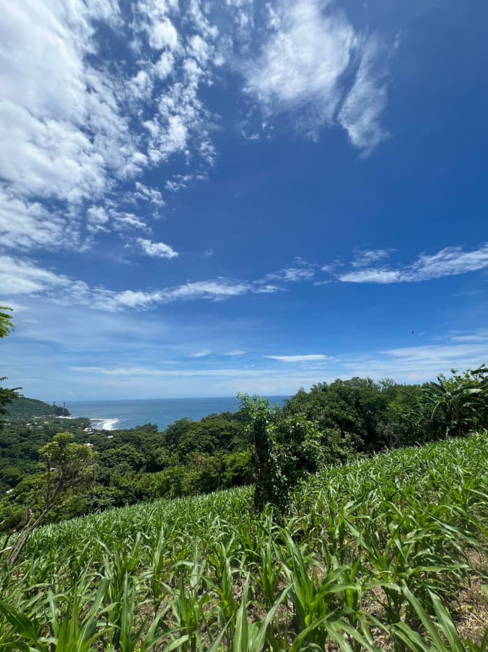 Se vende terreno con vista al mar en Surf City - foto 4