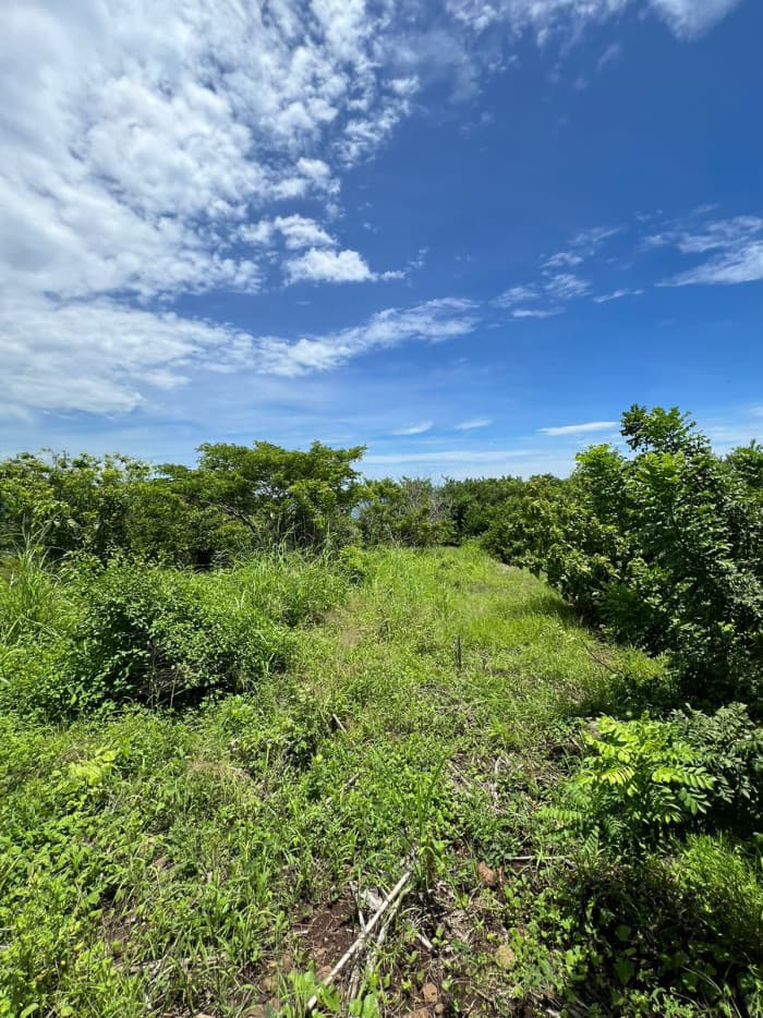 Se vende terreno con vista al mar en Surf City - foto 6