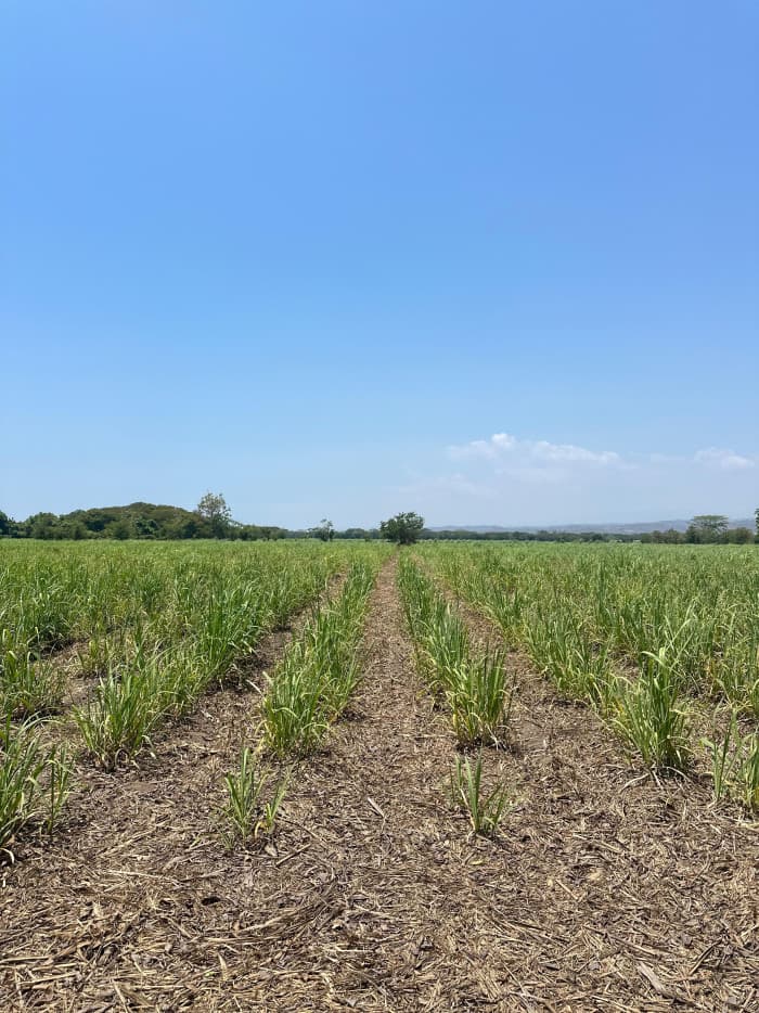 Terreno comercial en venta Cangrejera La Libertad - foto 4