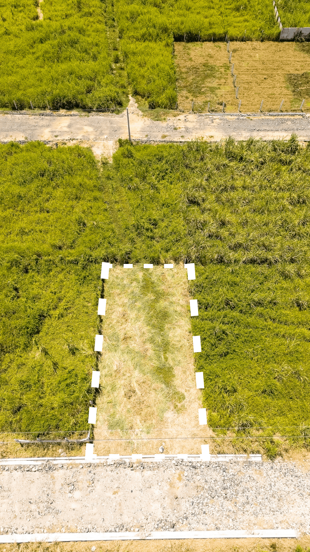 Terreno en venta en La Libertad con financiamiento - foto 2