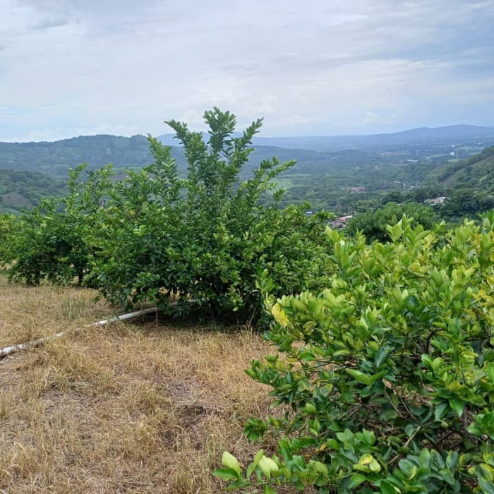 Finca en venta Jayaque La Libertad 53 manzanas - foto 19