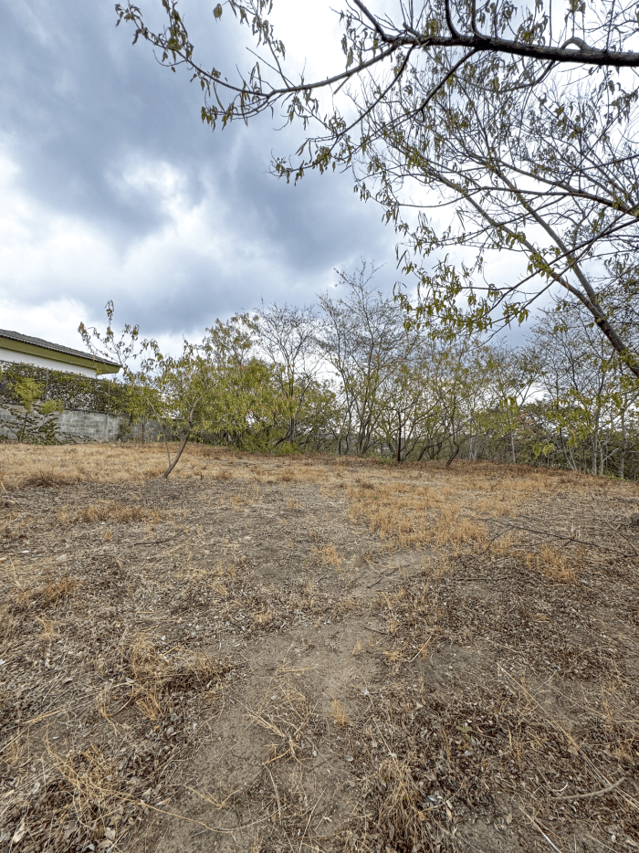 Terreno en venta en Residencial Las Luces Zaragoza - foto 4