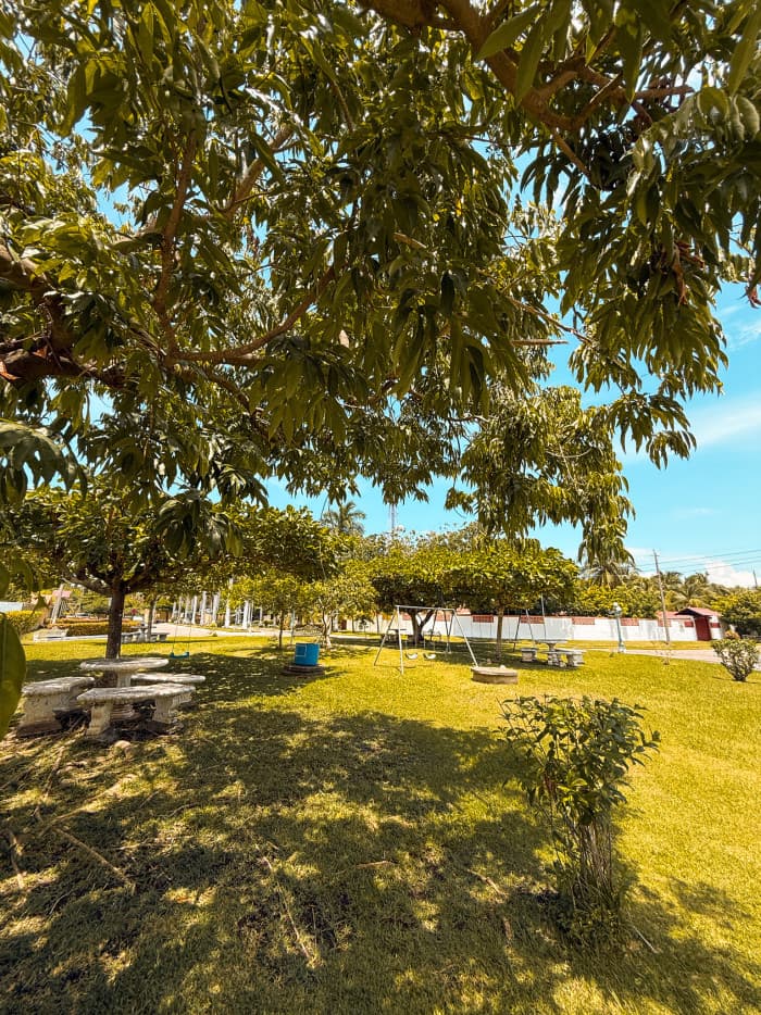 Lote en Residencial Villas de Salinitas III Sonsonate - foto 6