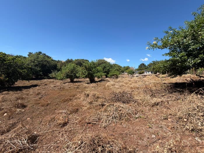 Terreno comercial en venta en Jicalapa La Libertad - foto 3