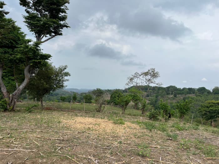 Terreno con vista panorámica al mar San José Villanueva - foto 4