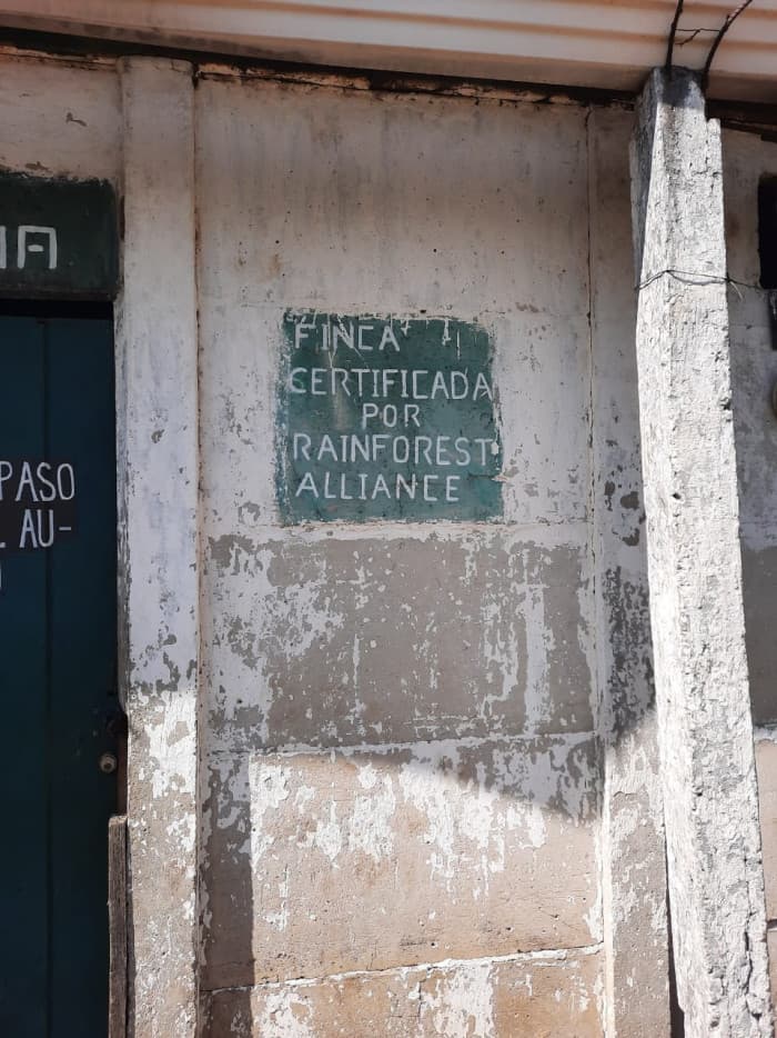 Finca de café en venta de 200 manzanas en Lourdes - foto 3