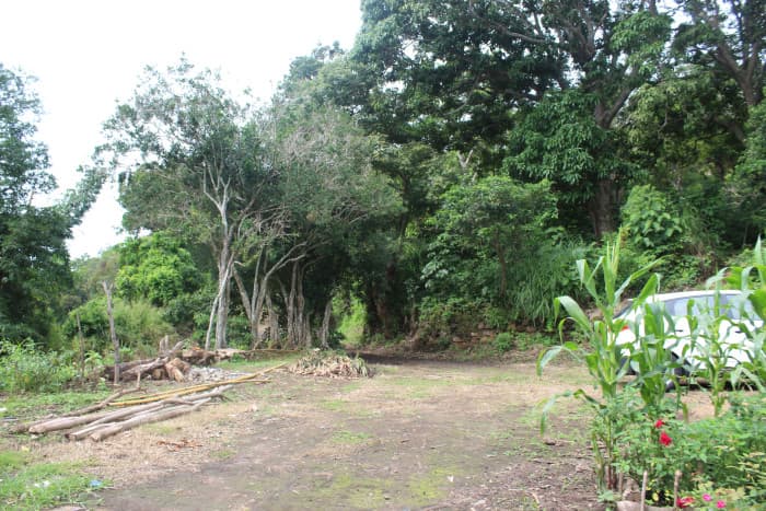 Se vende terreno de 30 manzanas cercano a Tuscania - foto 8