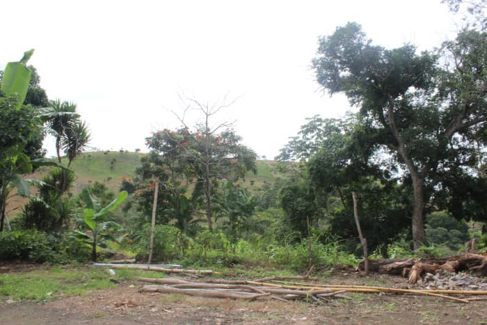 Terreno en venta cerca de Tuscania - foto 8
