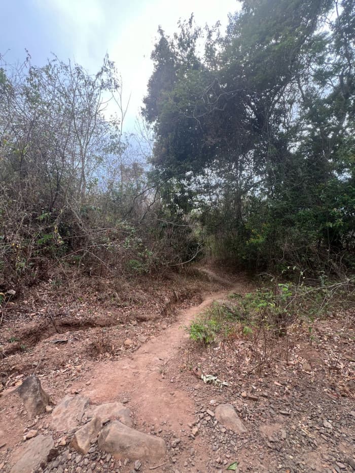 Terreno de 40 manzanas para desarrollo por El Encanto - foto 6