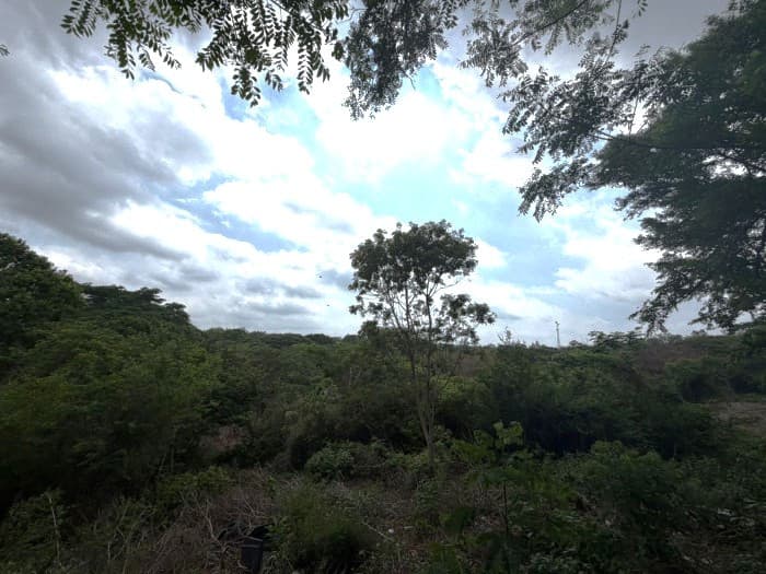 Terreno en venta ideal para desarrollo en Cuyultitán - foto 5