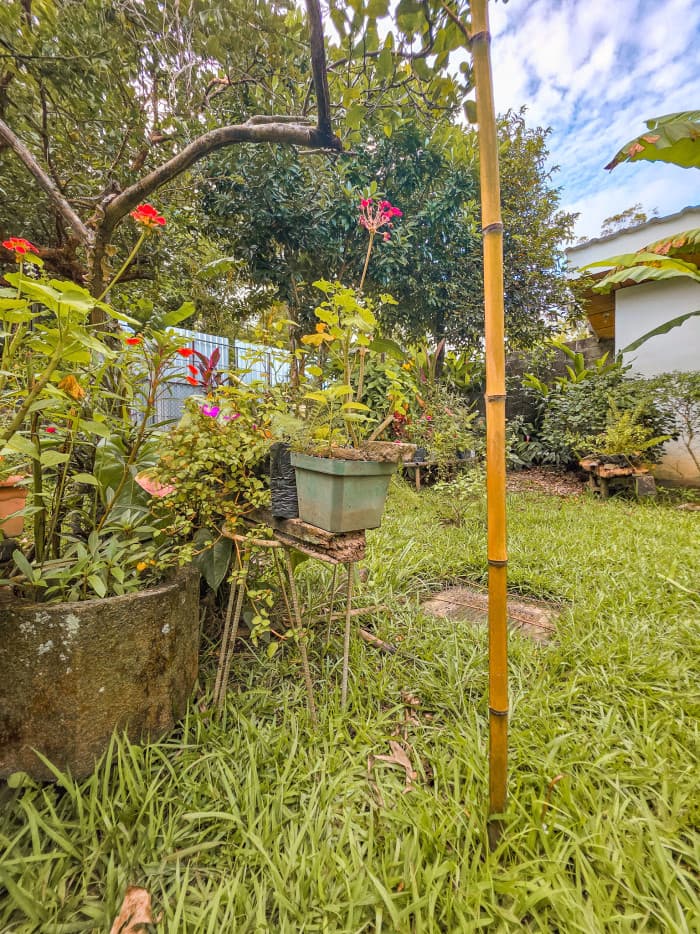 Hermosa casa tipo Quinta en Los Planes de Renderos - foto 20