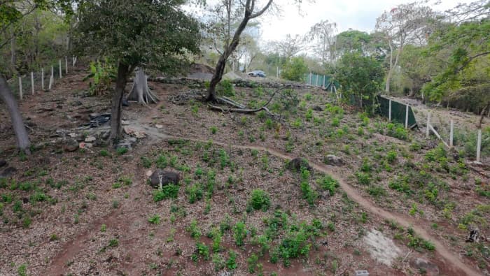 Terreno con acceso al mar en Playa Shalpa La Libertad - foto 3