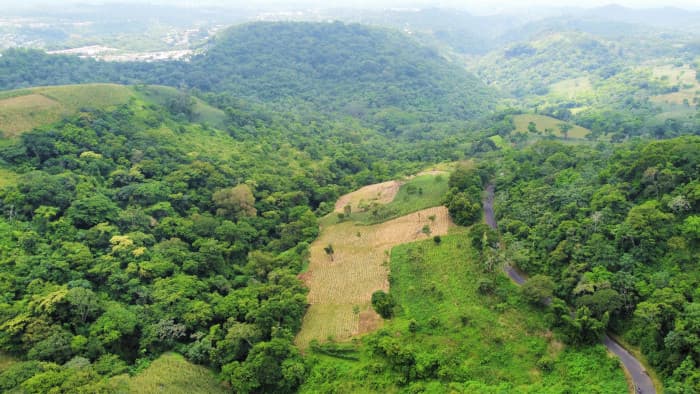 Terreno en venta al lado de Residencial Los Manantiales - foto 11