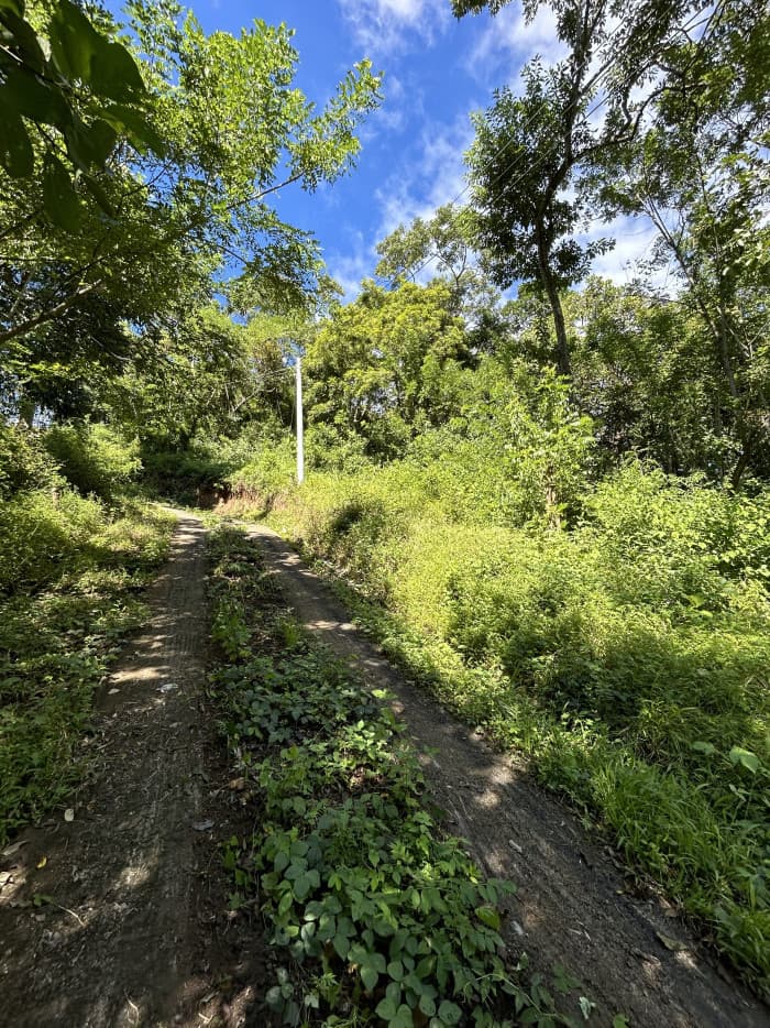 Terrenos en venta en Huizucar La Libertad - foto 2