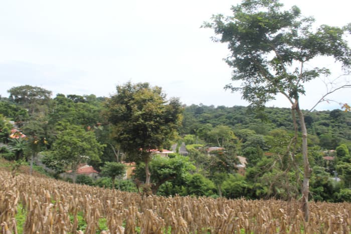 Terreno en venta cerca de Tuscania - foto 17