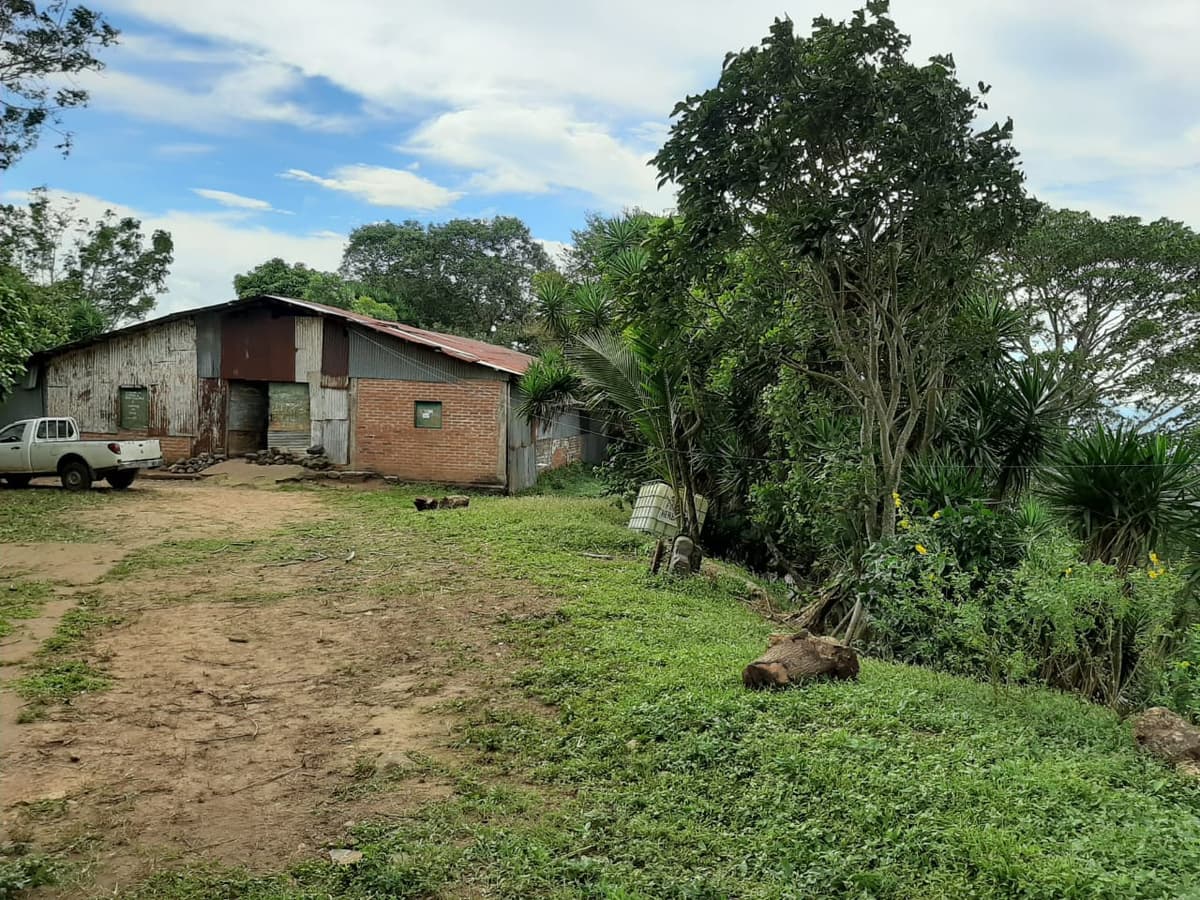 Finca cafetalera en venta de 86 manzanas en Tepecoyo - foto 2