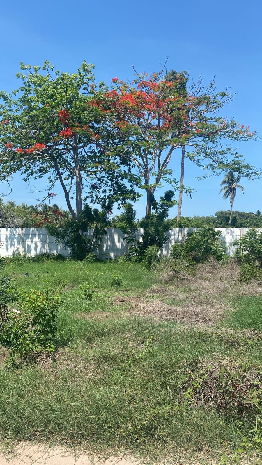 Lote en venta Golden Lake Costa del Sol - foto 6