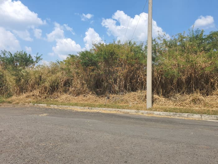 Venta de terreno industrial en Lourdes Colón - foto 5