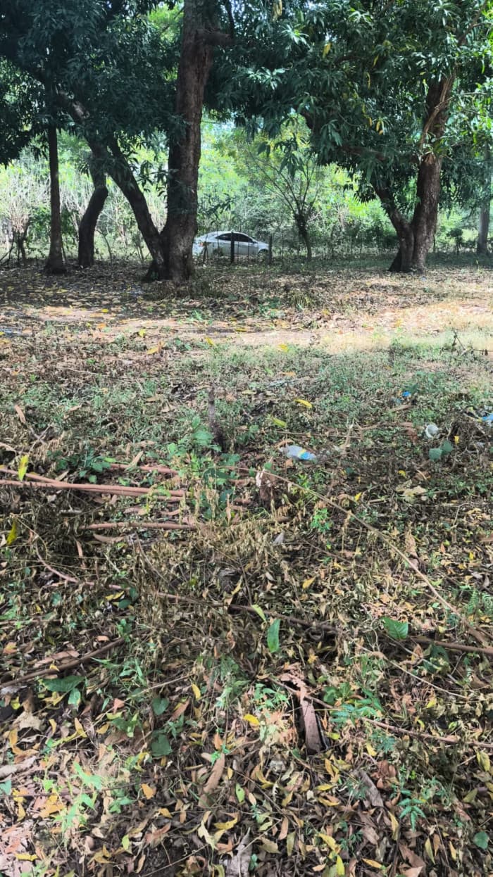 Terreno 7,696 varas cuadradas en San Diego La Libertad - foto 14