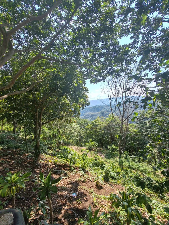 Terreno con vista carretera a Comasagua La Libertad - foto 2