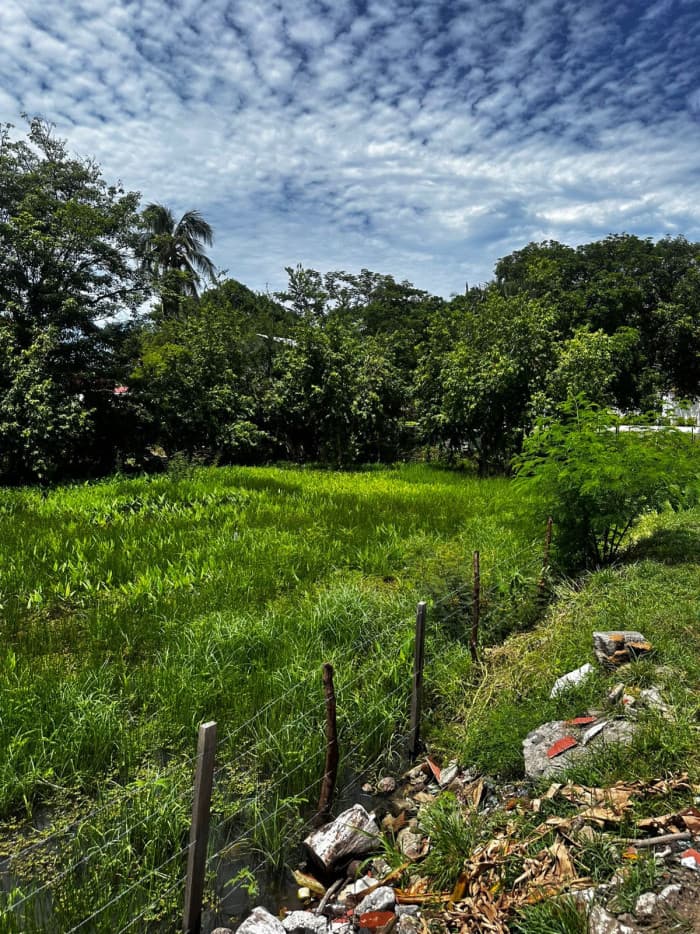 Venta de amplio terreno en Playas Negras La Unión - foto 2
