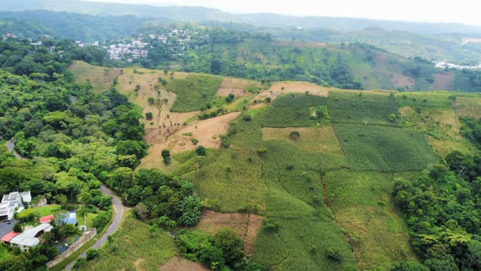 Terreno en venta al lado de Residencial Los Manantiales - foto 16