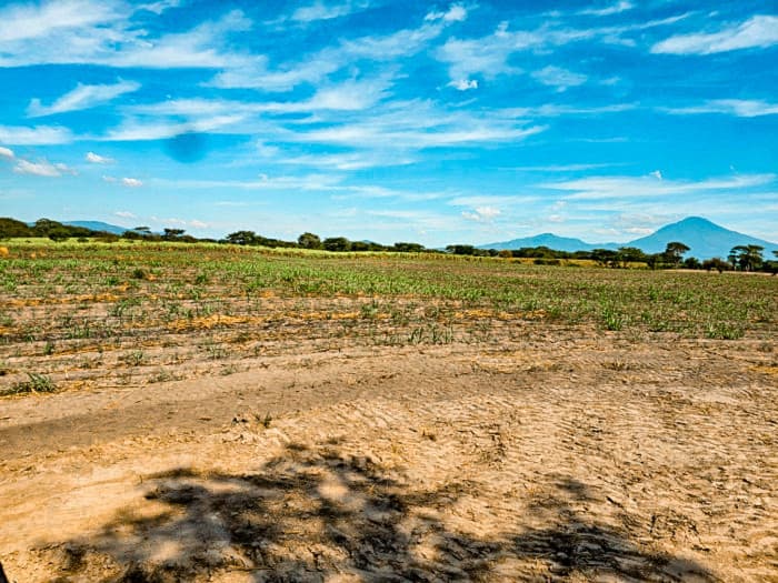 Terreno de 5 Mz sobre carretera Litoral a Zacatecoluca - foto 3