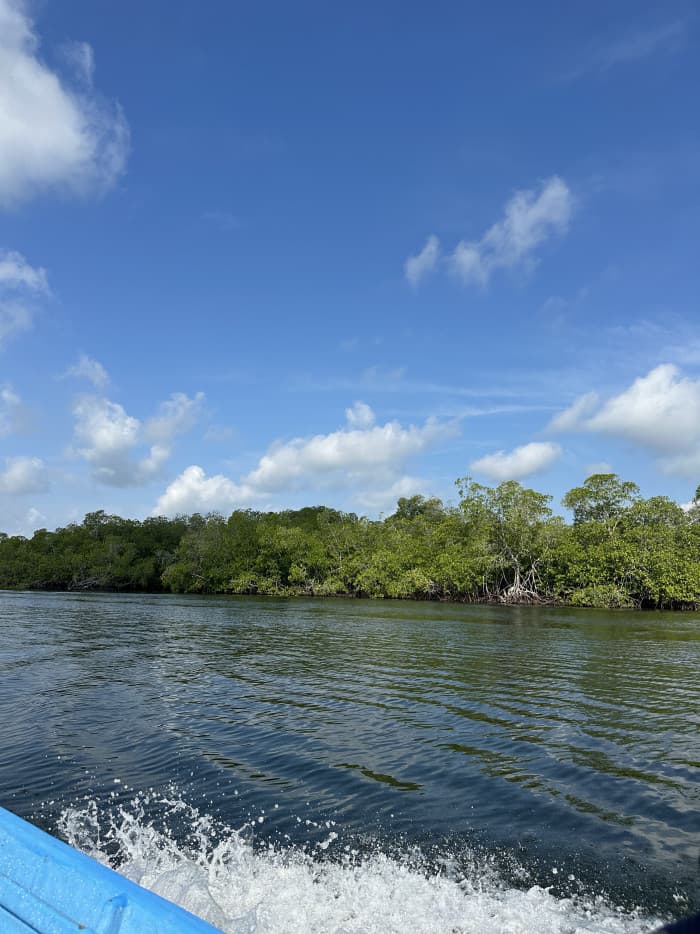 Lotes en venta en Isla Madresal Bahía de Jiquilisco - foto 2