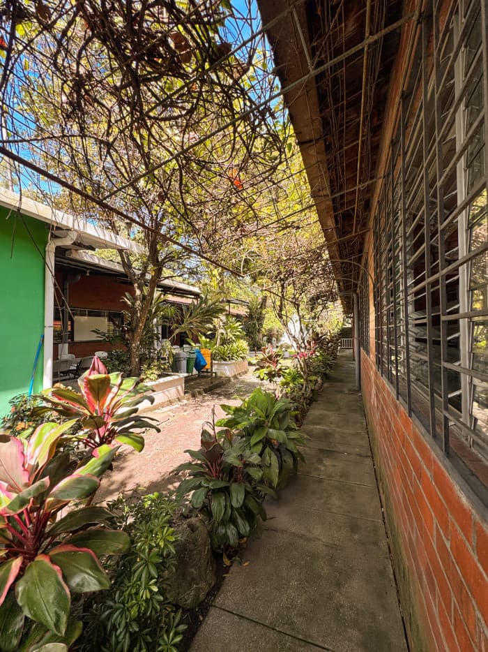 Alquilo propiedad de uso comercial Antiguo Cuscatlán - foto 10
