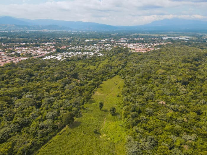 Terreno en venta contiguo a Bosques de Lourdes Colón - foto 3