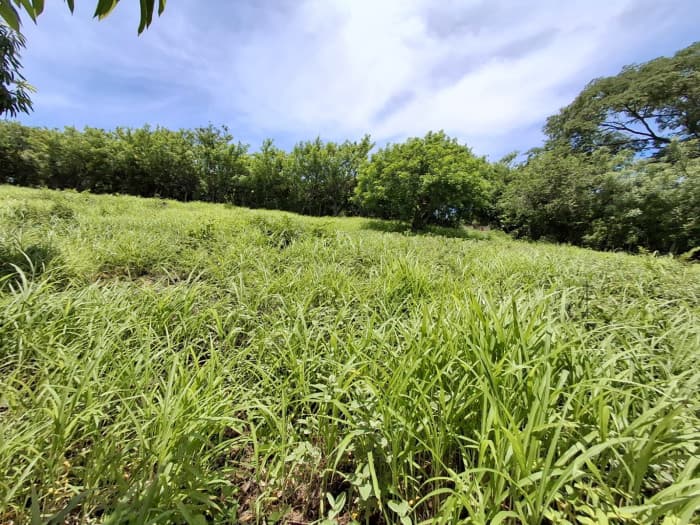 Venta de terreno con vista al mar en Surf City - foto 6