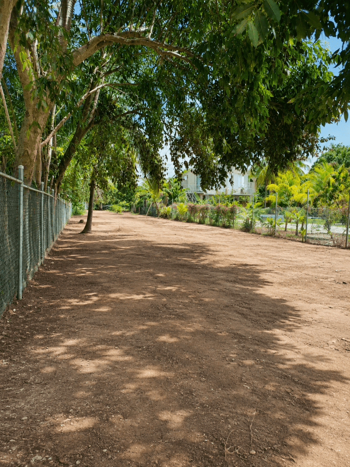 Lote en Residencial Villas de Salinitas III Sonsonate - foto 2