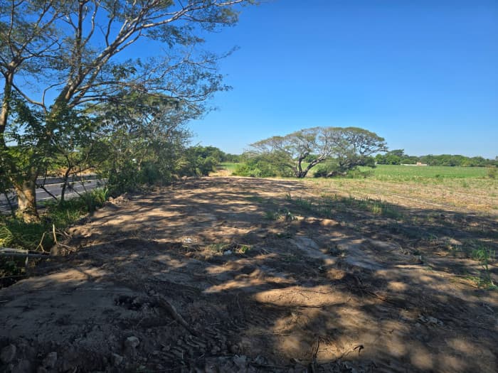 Terreno de 5 Mz sobre carretera Litoral a Zacatecoluca - foto 7