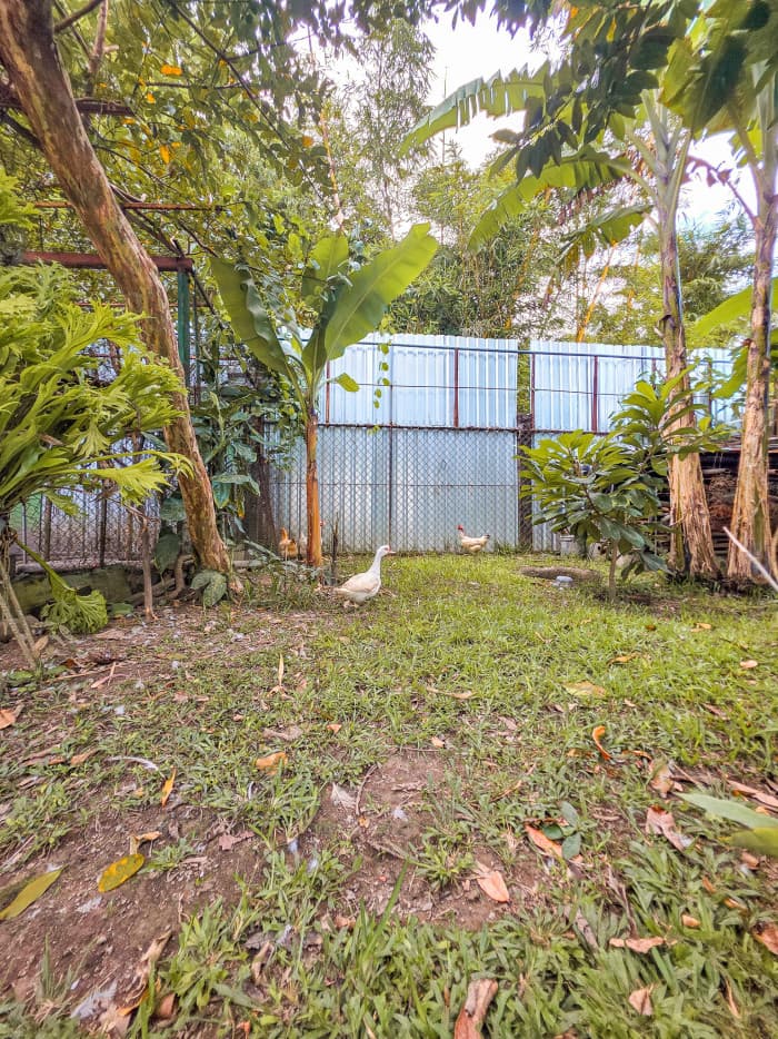 Hermosa casa tipo Quinta en Los Planes de Renderos - foto 22