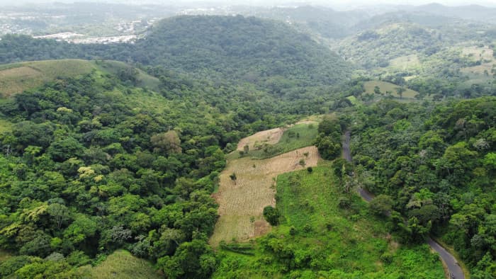 Terreno en venta al lado de Residencial Los Manantiales - foto 14