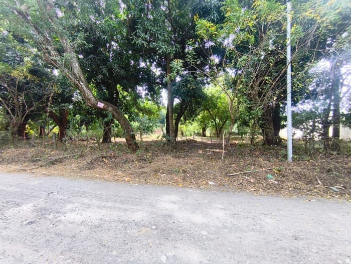 Terreno 7,696 varas cuadradas en San Diego La Libertad - foto 3