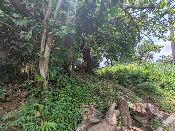 Terreno plano en venta en Lourdes Colón - foto 3