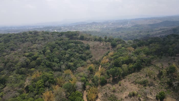 Terreno de 40 manzanas para desarrollo por El Encanto - foto 3