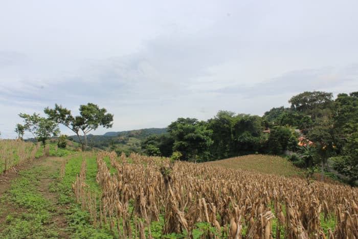 Terreno en venta cerca de Tuscania - foto 15