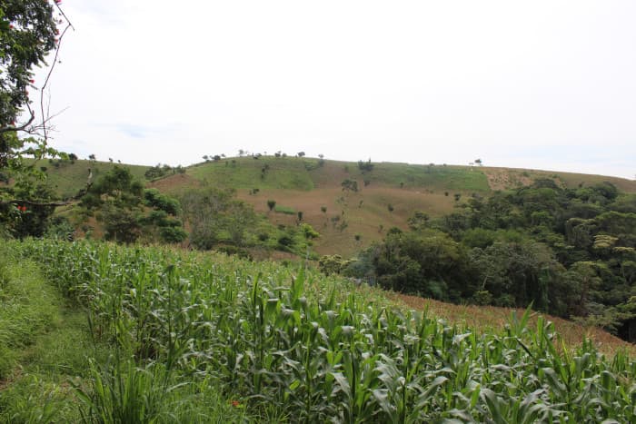 Se vende terreno de 30 manzanas cercano a Tuscania - foto 12