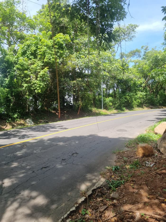 Invierte en 4.15 manzanas  Ruta Panorámica - foto 6