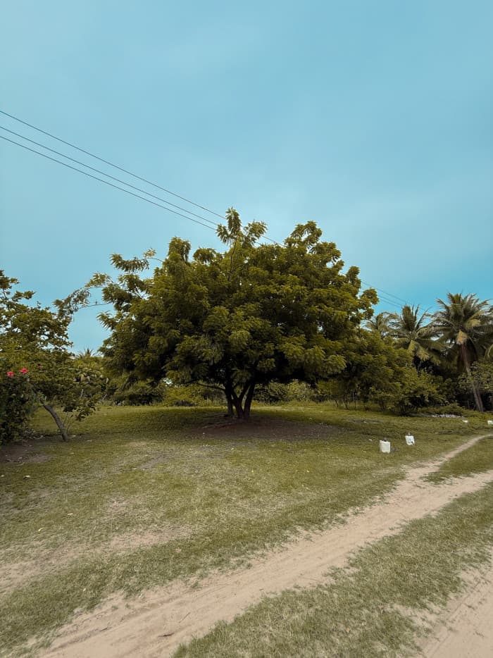Lotes en venta en playa El Espino Usulután  - foto 4