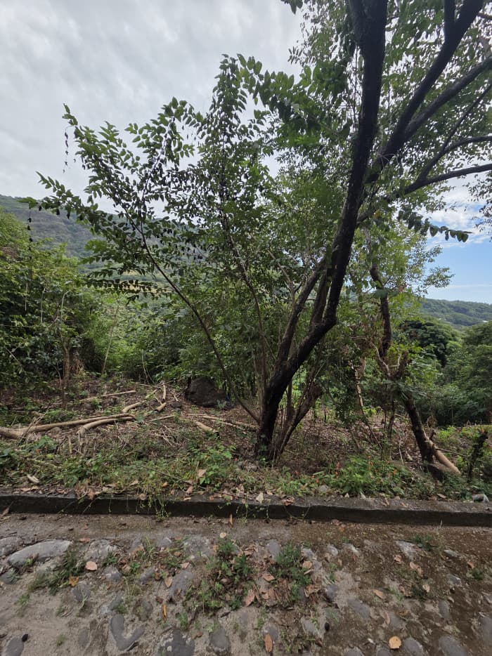 Terreno en venta playa Bahía Dorada La Libertad - foto 5