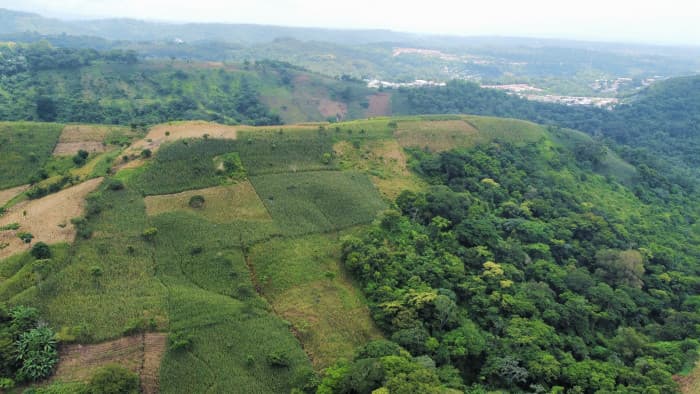 Terreno en venta al lado de Residencial Los Manantiales - foto 17