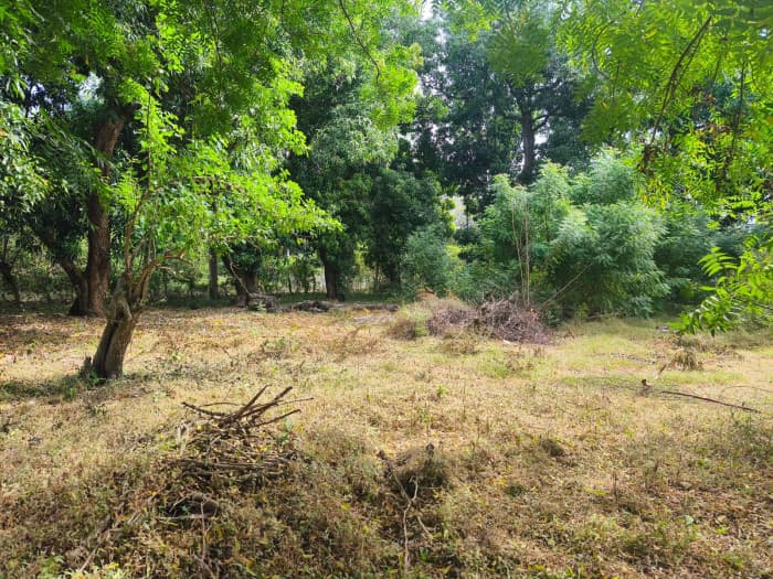 Terreno 7,696 varas cuadradas en San Diego La Libertad - foto 6