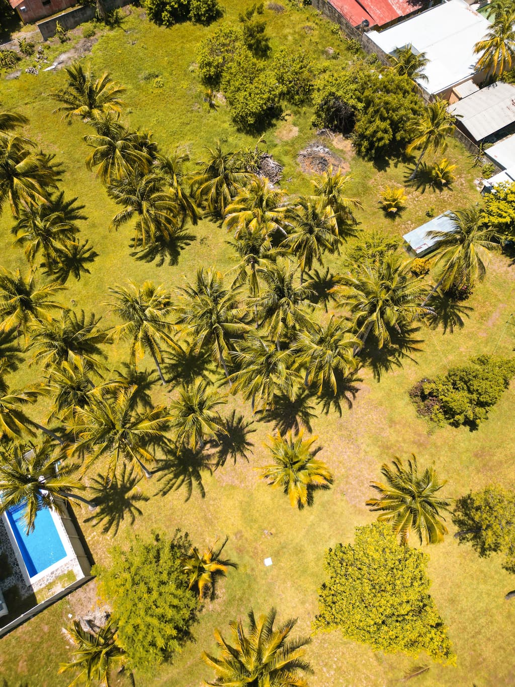 Terreno en venta playa San Diego La Libertad - foto 3