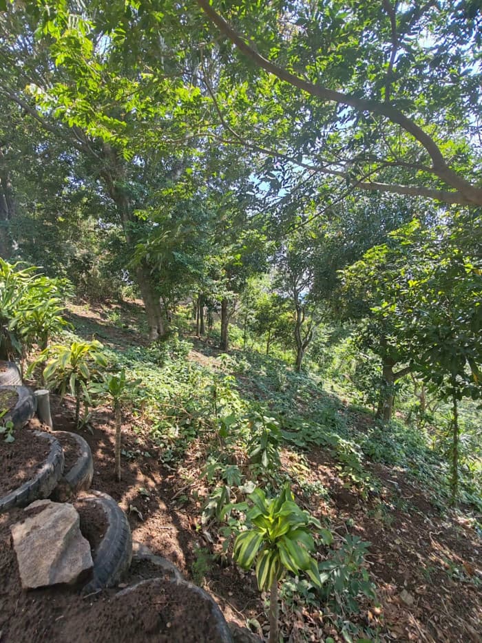 Terreno con vista carretera a Comasagua La Libertad - foto 4